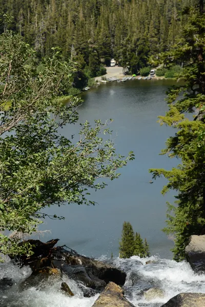 DSC_9996 (Large).JPG